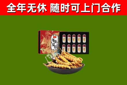 承德烟酒回收冬虫夏草礼盒.jpg