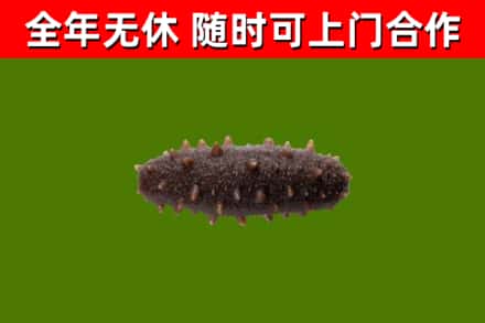 承德回收海参干